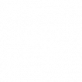 sottmann_logo